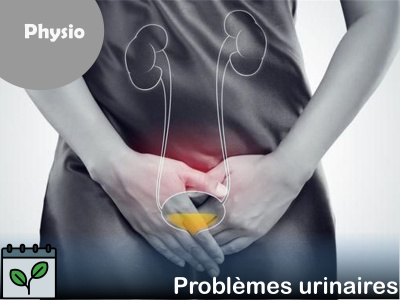PHYSIO - Problèmes urinaires?  Voici les solutions