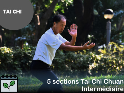 TAI CHI-  5 sections Tai Chi chuan - intermédiaire 2 (Mardi - 10 h)