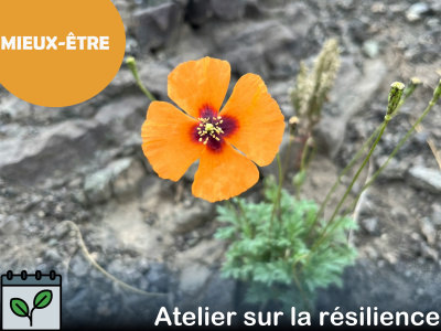 ANNULÉ - MIEUX-ÊTRE : Résilience