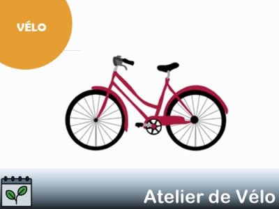 Atelier pratique - vélo