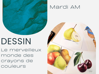 DESSIN - ANNUL&Eacute; - Le merveilleux monde des crayons de couleurs