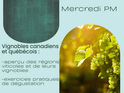 Vignobles canadiens et qu&eacute;b&eacute;cois &colon; aper&ccedil;u des r&eacute;gions viticoles et de leurs vignobles&comma; exercices pratiques de d&eacute;gustation