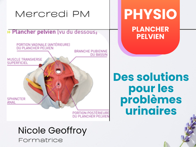 PHYSIO - Plancher pelvien - des solutions pour les probl&egrave;mes urinaires&excl; &lpar;Mercredi&comma; 13 h 15&rpar;
