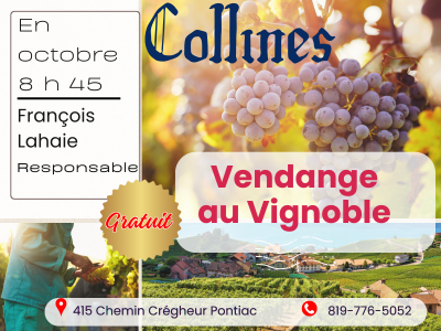 VENDANGE au vignoble "Les Collines"